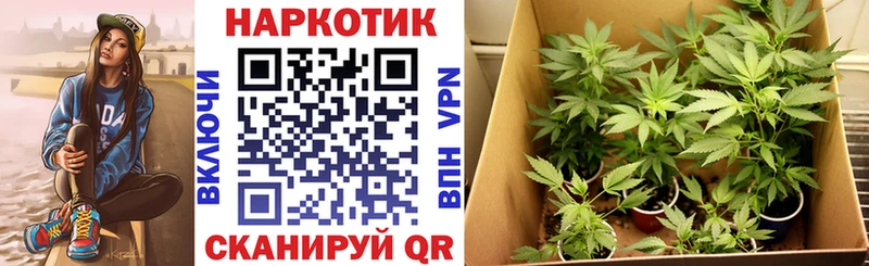 Цена Шимановск APVP  Кокаин  Галлюциногенные грибы  Каннабис  ГАШ  Меф мяу мяу 