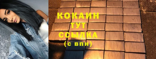 шишки Горнозаводск