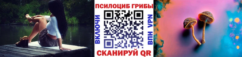купить цена Шимановск сайты даркнета какой сайт Псилоцибиновые грибы GOLDEN TEACHER mega ССЫЛКА