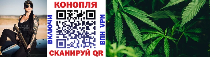 кракен сайт  продажа наркотиков  Шимановск  Марихуана Bruce Banner 
